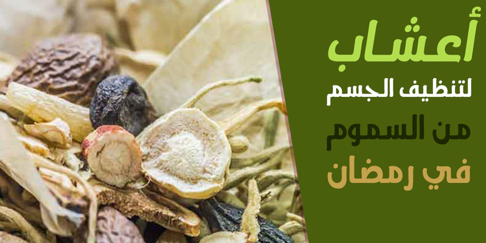 اعشاب لتنظيف الجسم من السموم في رمضان | د احمد ابو النصر