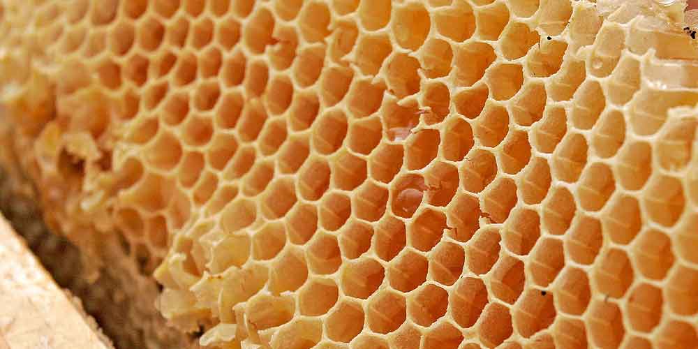 كيفية استعمال صمغ النحل