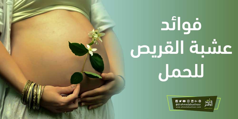 تنشيط المبايض حمض الفوليك يساعد على الحمل