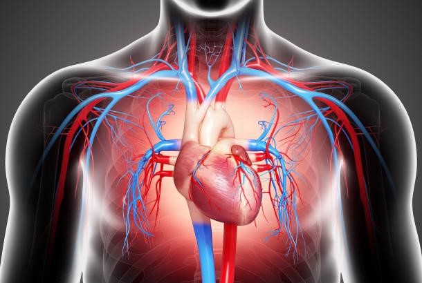 اعراض قصور عضلة القلب
