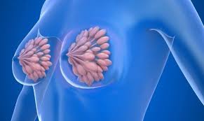 هل كتلة سرطان الثدي متحركه